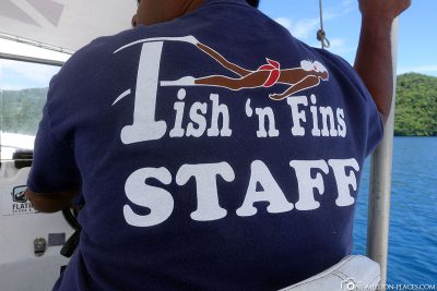 Fish ‘n Fins Staff