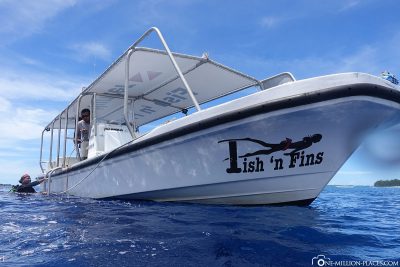 Diving in Palau with Fish 'n Fins