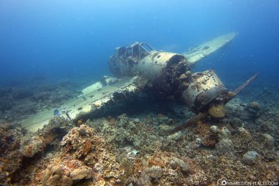 Wreck diving in Palau