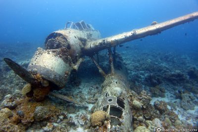 Wreck diving in Palau