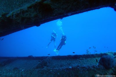 Diving at the wreck of Zenobia