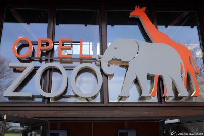 The Opel Zoo in Kronberg