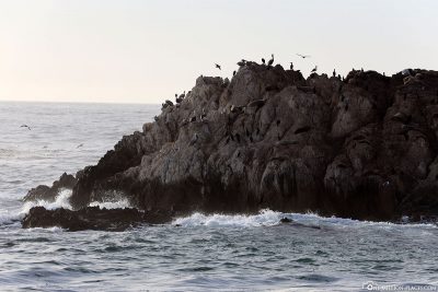 The Bird Rock at 17-Mile Drive