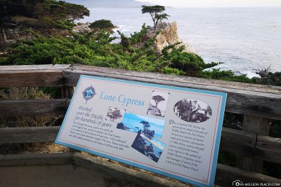 Info board at the Lonely Cypress