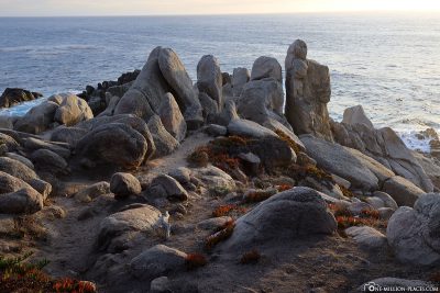 Rock formations at Pescadero Point