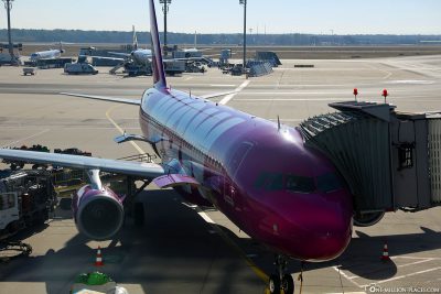 WOW air at the airport in Frankfurt