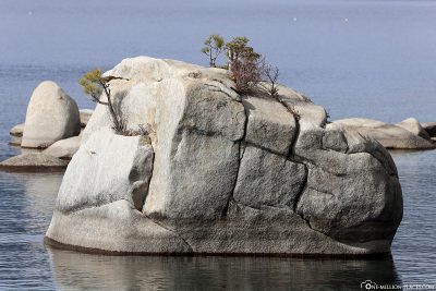 Der Bonsai Rock im Lake Tahoe