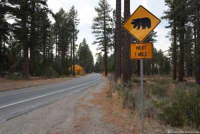 Vorsicht vor Bären