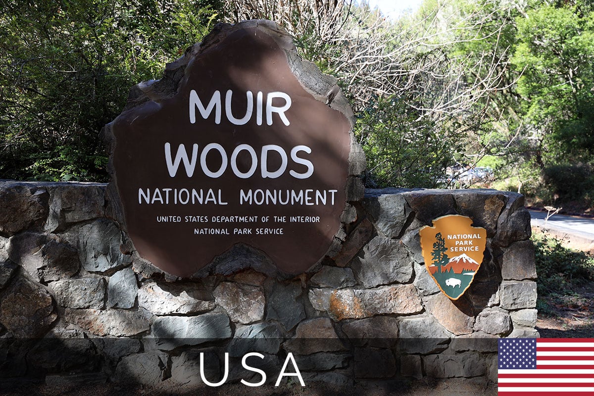 Muir Woods Titelbild