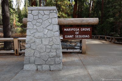 Eingang zum Mariposa Grove