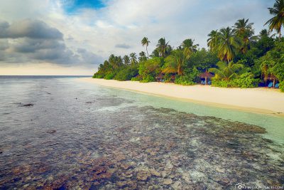 Dream beach in the Maldives