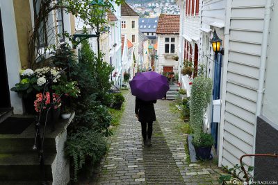 Verregnetes Bergen