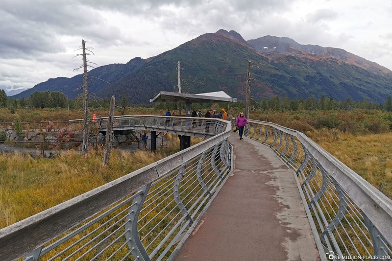 Anchorage - Seward Highway & Alaska Wildlife Center (USA)