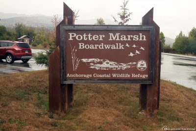 The Potter Marsh Boardwalk