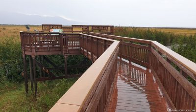 Potter Marsh Wildlife Viewing Boardwalk