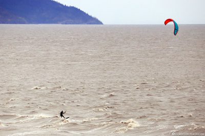 Kitesurfers in the bay