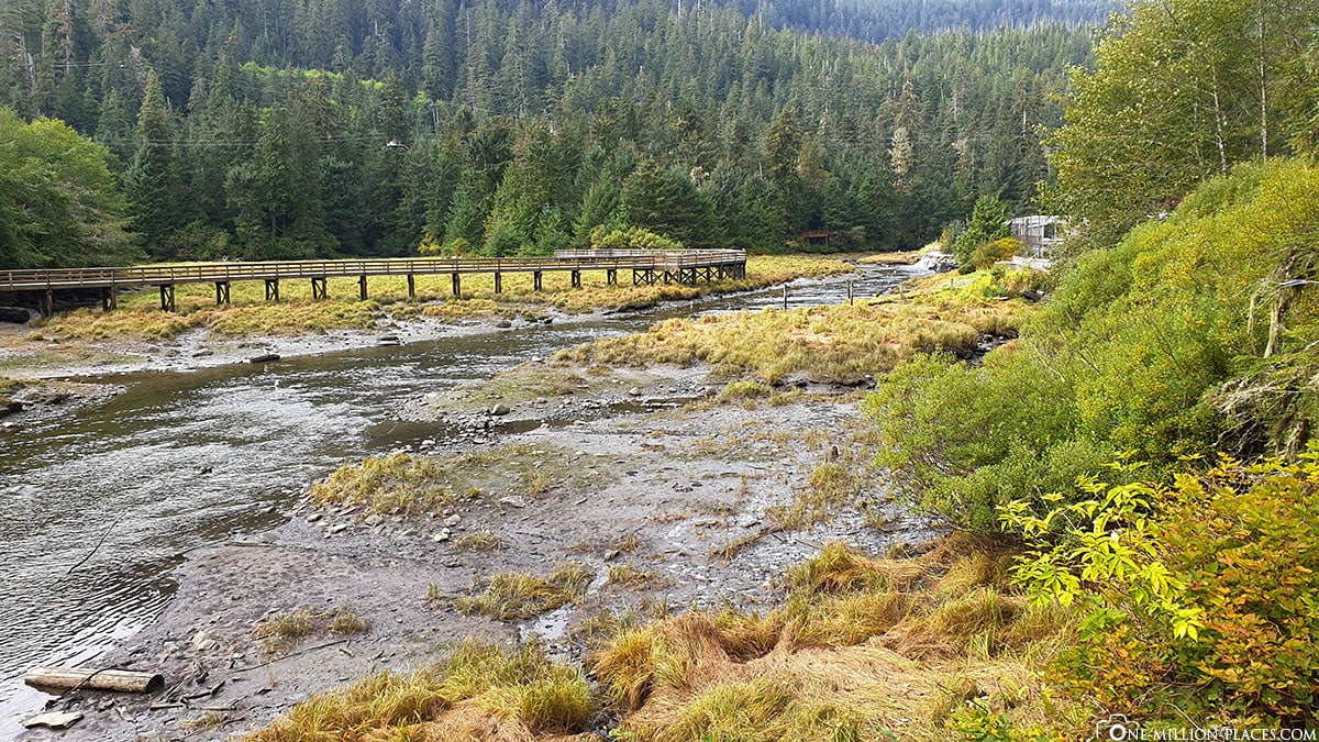 Alaska Rainforest Sanctuary, Ketchikan, Travelreport, USA