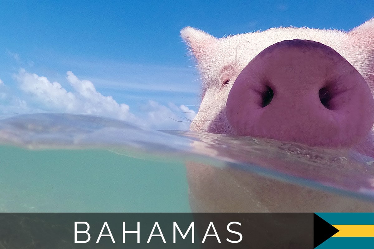 Bahamas, Wissenswertes, Infos, Urlaub, Karibik, Reiseberichte, Titelbild