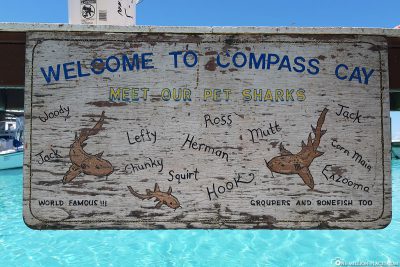 Willkommen in Compass Cay