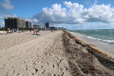 The beach in Miami Beach