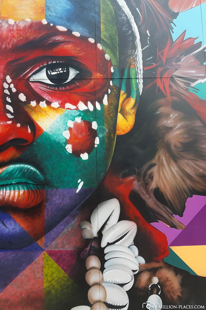 Miami - Street Art & Colorful Murals in the Wynwood Art District (USA)