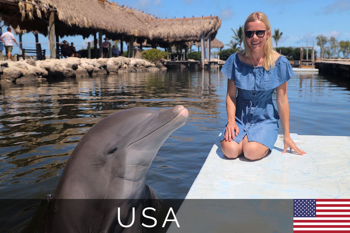 Titelbild Dolphin Research Center, Florida Keys, USA, Reisebericht