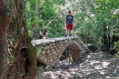 Eine Steinbrücke im Wald