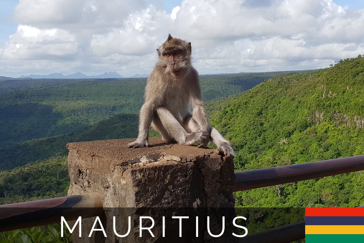 Titelbild, Black River Gorges Nationalpark, Mauritius, Reisebericht
