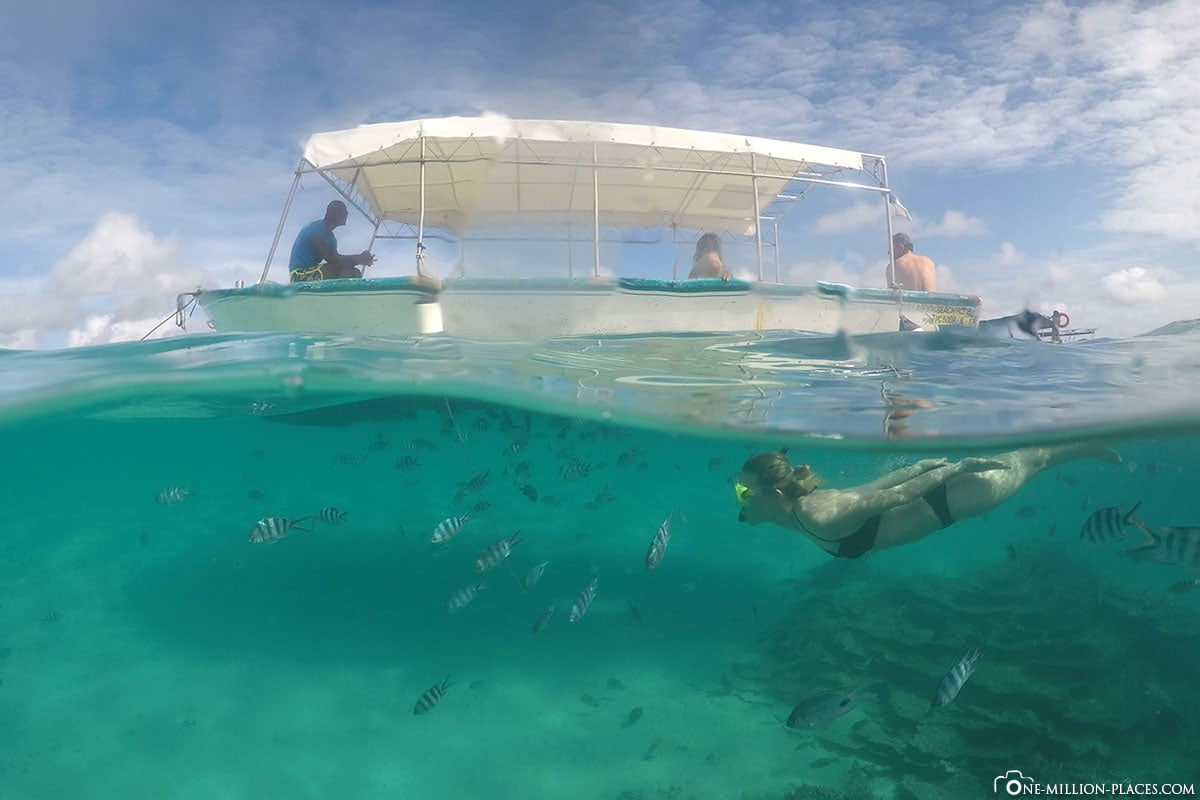 Blue Bay, Snorkeling, Halfdome, Mauritius
