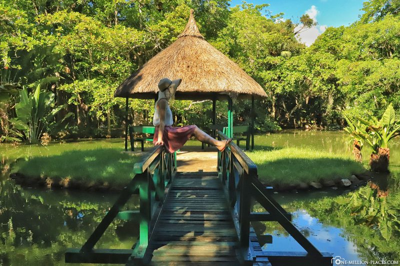 Der Botanische Garten in Pamplemousses (Mauritius)