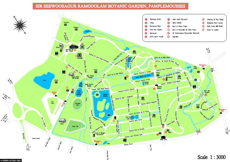 Der Botanische Garten in Pamplemousses (Mauritius)
