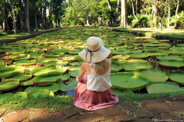 Der Botanische Garten in Pamplemousses (Mauritius)