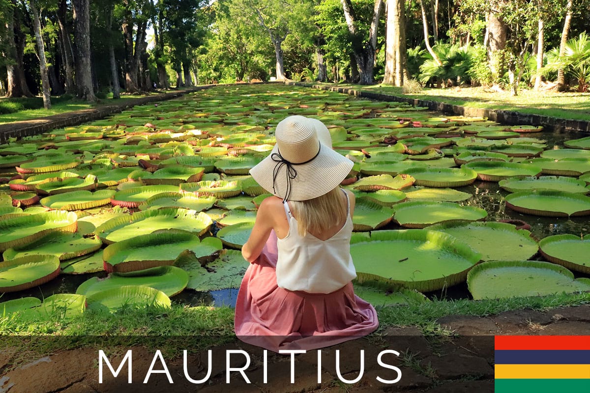 Titelbild, Botanischer Garten, Mauritius, Pamplemousses, Reisebericht, Sehenswürdigkeiten