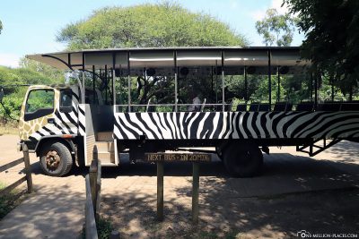 Der Safari Bus