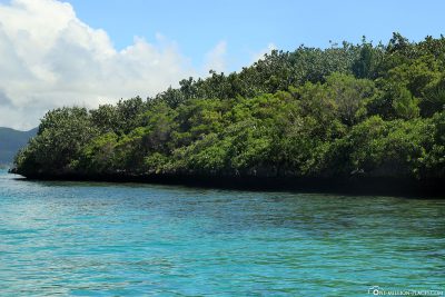 Die kleine geschützte Insel Ile aux Aigrettes