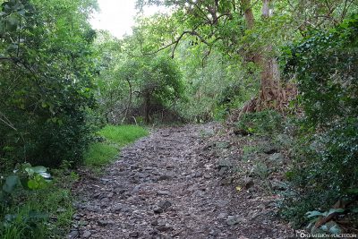 The hiking trail to the mountain Le Morne