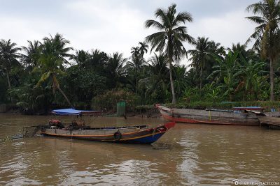 Ride on the Ben Tre River
