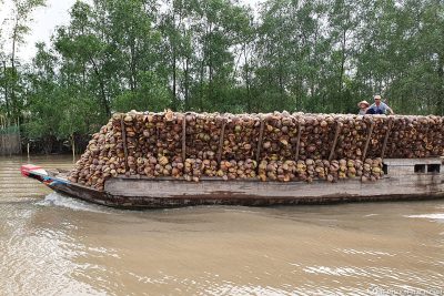 A boat full of coconut shells
