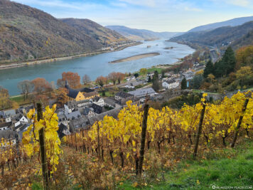 View of the wine slopes & the Rhine