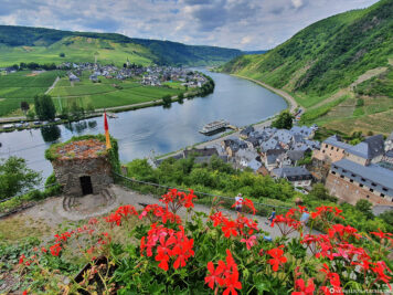 View of the Moselle from Metternich Castle