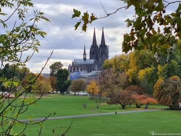 View from the Rheinpark to the cathedral