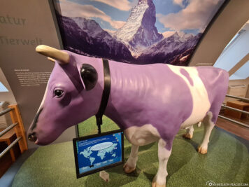 The Milka Cow in the Chocolate Museum