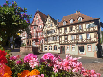Half-timbered houses on the old market square