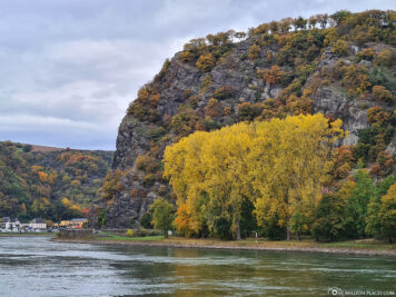 Der Rhein bei der Loreley
