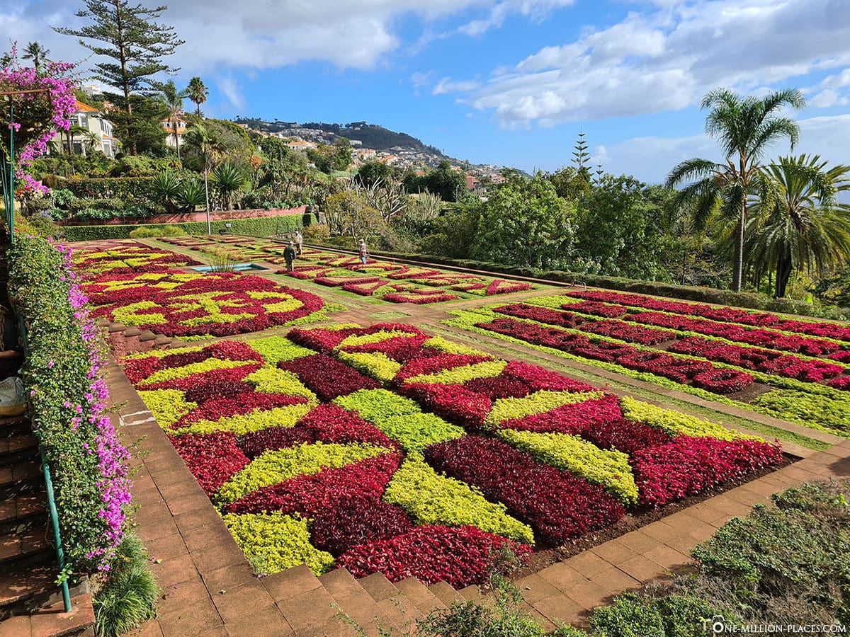Madeira The 15 Most Beautiful Sights Photo Spots