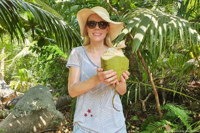 A fresh coconut