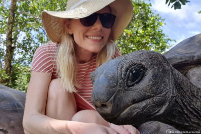 Selfie mit einer Schildkröte