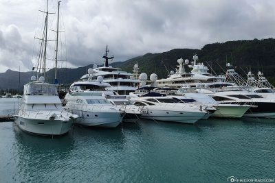 The luxury yachts in the marina