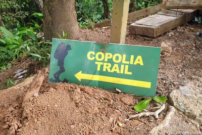 Der Copolia Trail