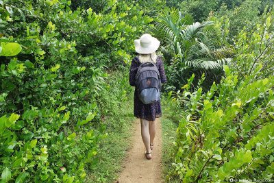 The hike to Anse Major
